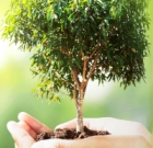 Eco-Natura